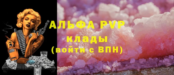 apvp Алексин