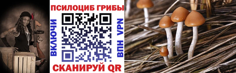 mega онион  Северодвинск  Псилоцибиновые грибы Psilocybine cubensis 
